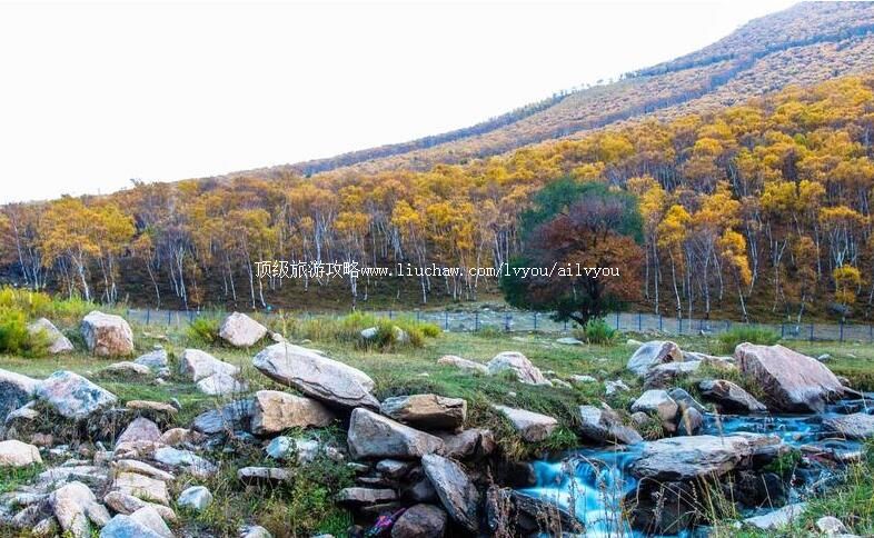 4A红召九龙湾生态旅游区旅游攻略