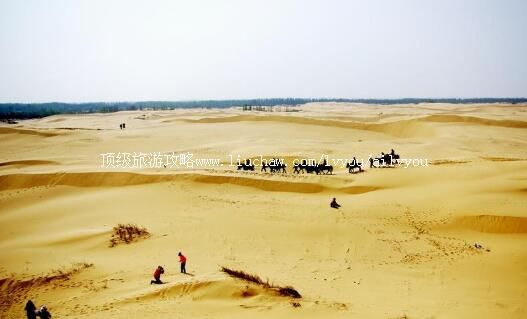 ���ɹſ���ɳĮ���ι���