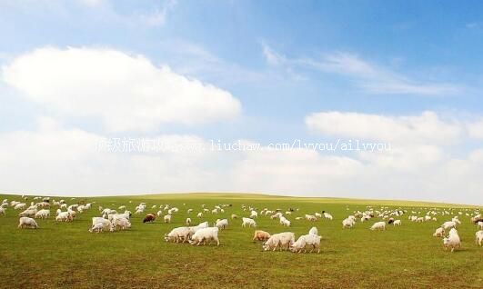 3A��³����ɽ�ز�ԭ���������ι���