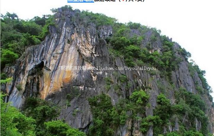 ����������ʶ����ι���