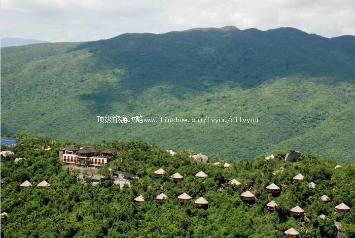 4A�����������ȴ�����ɭ�ֹ�԰���ι���