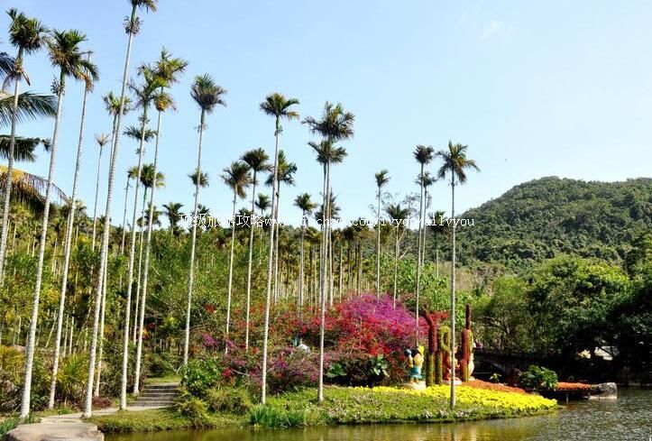 5A��������ѽŵ���ȴ��������ι���