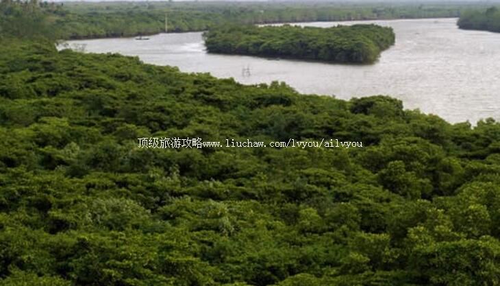 ���ϰ�������������ι���