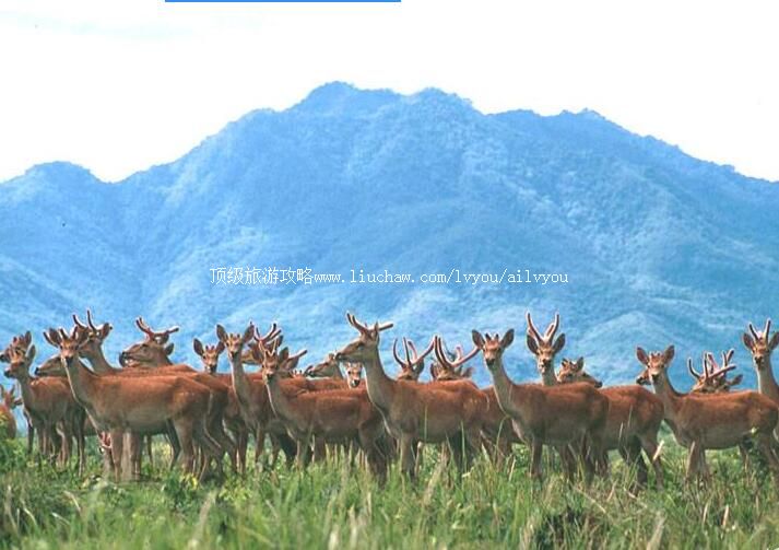 ���ϴ�����Ҽ���Ȼ���������ι���