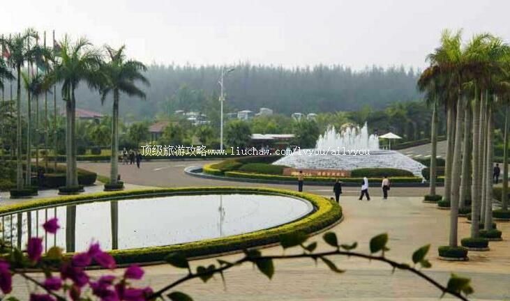 4A���ϲ���������̳���û�ַ���ι���