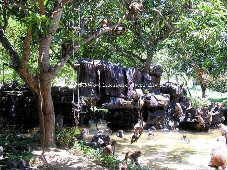 4A��������ﵺ���ι���