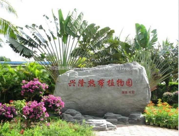 4A������¡�ȴ�ֲ��԰���ι���