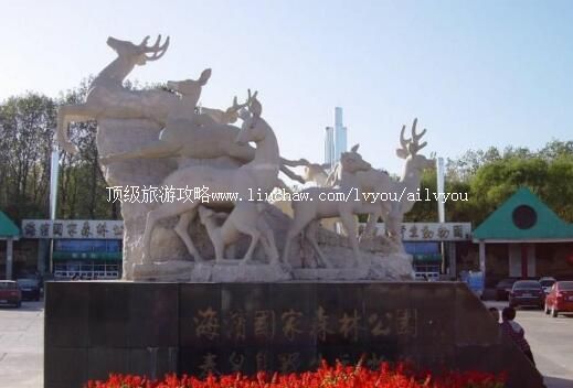 4A�ӱ��ػʵ�Ұ������԰���ι���