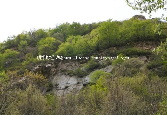 4A�ӱ�ʯ��ׯ��ɽ��Ͽ�Ⱦ������ι���