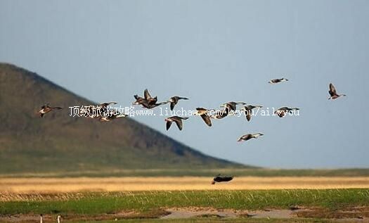 ���ױ����Ժӹ��Ҽ���Ȼ���������ι���