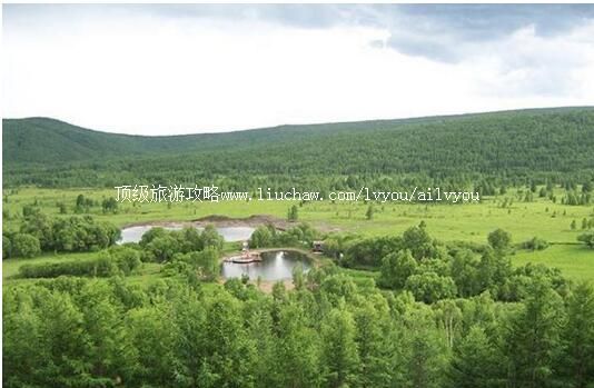 3A���ױ����д�Դ����ɭ�ֹ�԰���ι���