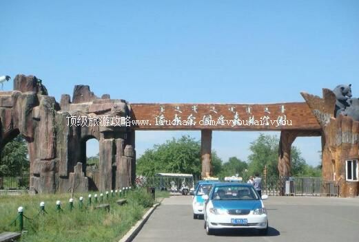 3A����������ɭ�ֹ�԰���ι���