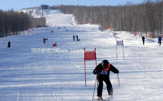 2A����ʯ���ɽ��ѩ�����ι���