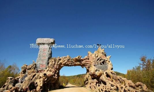 2A���������������ɭ�ֹ�԰���ι���