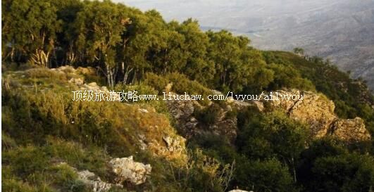 呼和浩特大青山国家级自然保护区旅游攻略