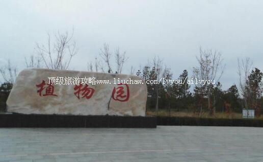 ������˹ֲ��԰���ι���