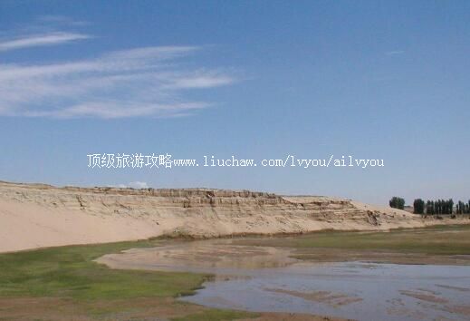 4A������˹������̬���������ι���