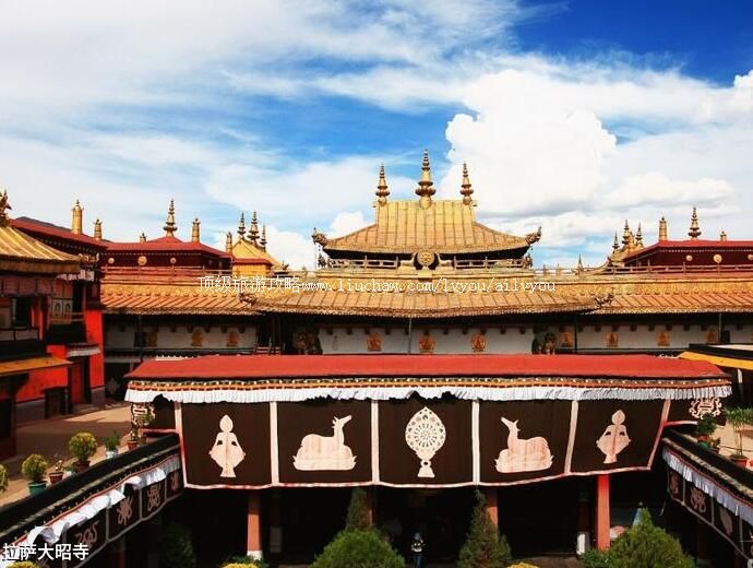 5A�����������������ι���