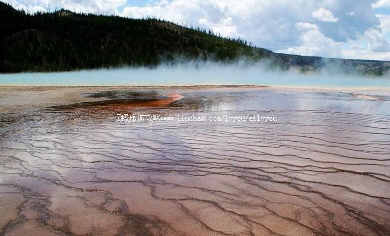 ����������Ȫ�����ι���