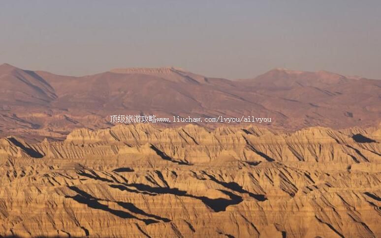 ���������������ι���