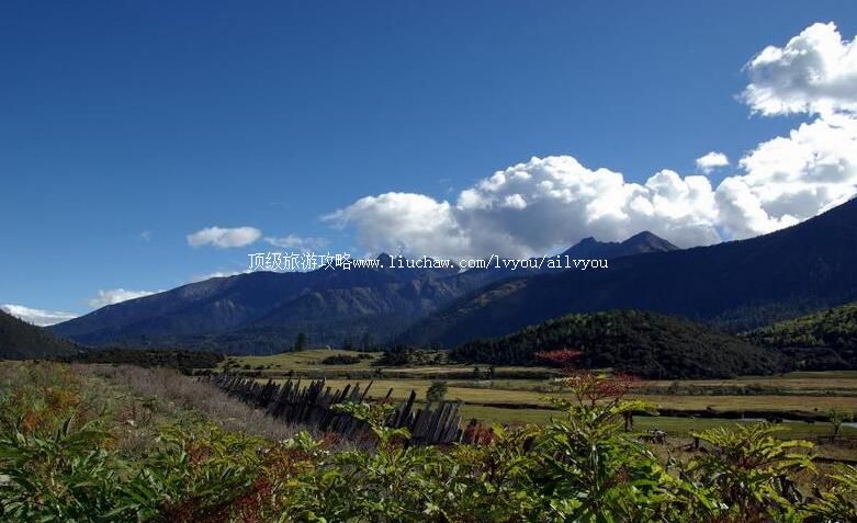 西藏色季拉山旅游攻略