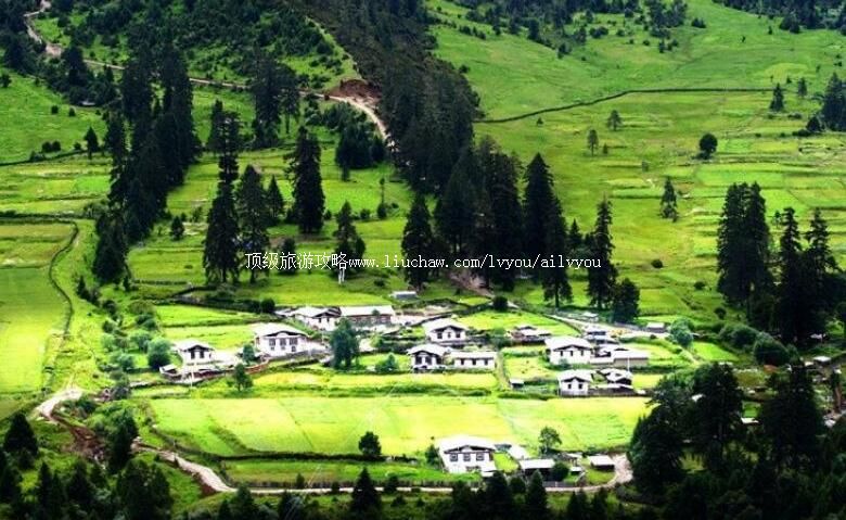 4A西藏林芝鲁朗林海风景区旅游攻略