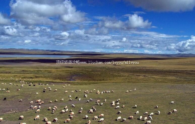 西藏羌塘草原旅游攻略