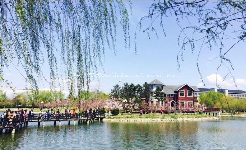 Ӫ������ֲ��԰���ι���