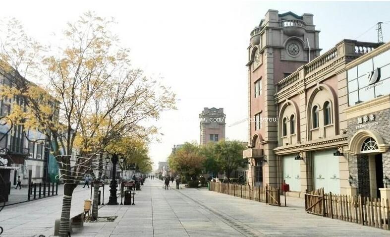 Ӫ���ɺ��Ͻ����ι���