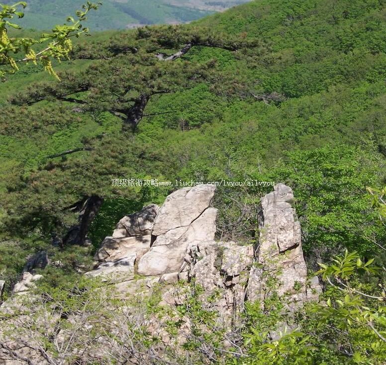 �������ɽ���ι���