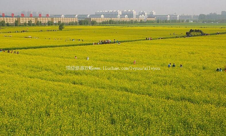 �����³���Ķ�������ι���