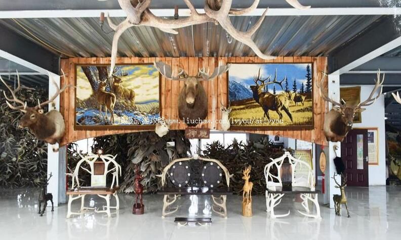 ��������¹�Ǵ��԰���ι���