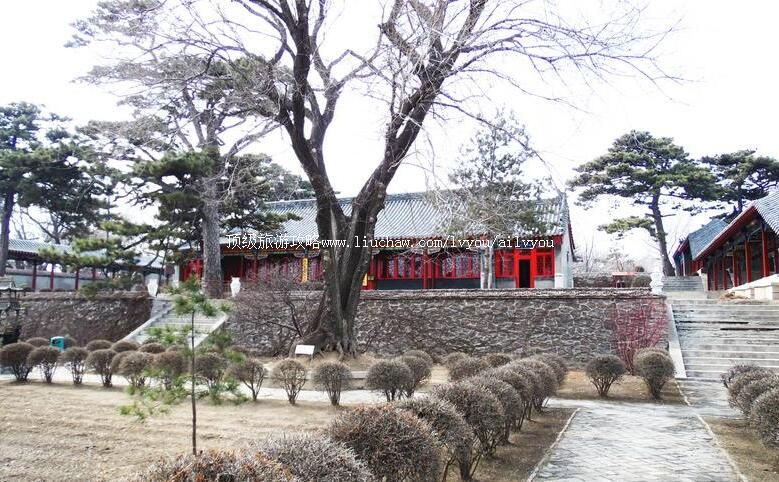 沈阳猪踪朝阳寺旅游攻略