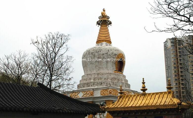 �����������ι���