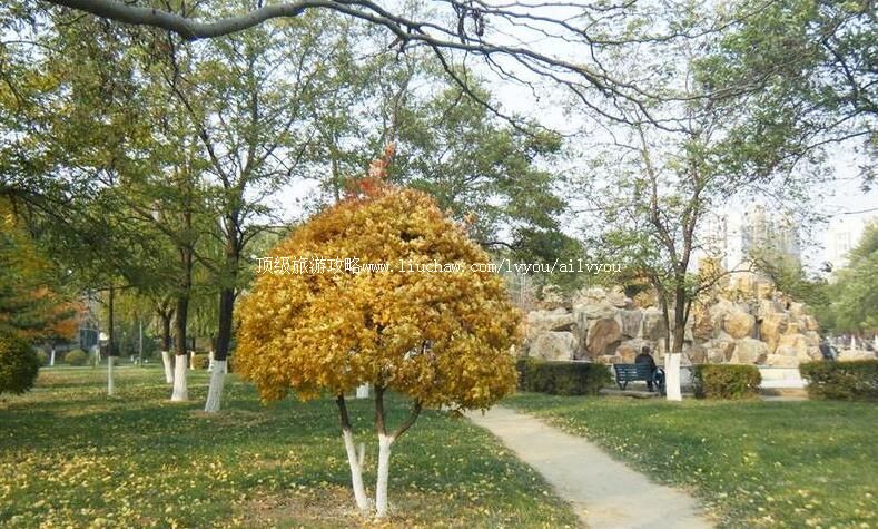 ������﹫԰���ι���