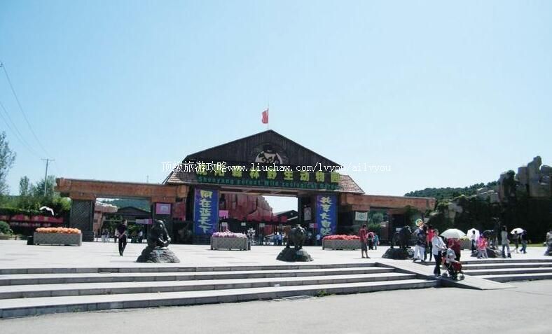 4A����ɭ�ֶ���԰���ι���