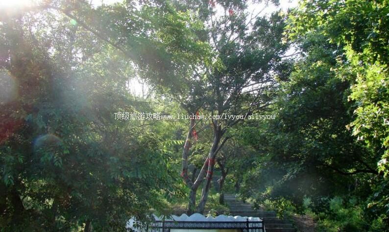 2A������������ɽ�羰�����ι���