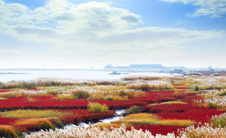 ����˫̨�ӿڹ��Ҽ���Ȼ���������ι���