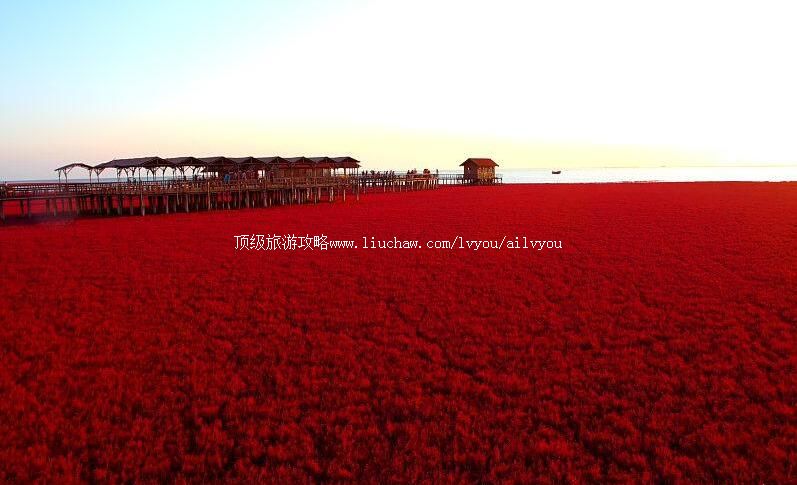 5A�̽��캣̲�羰�����ι���