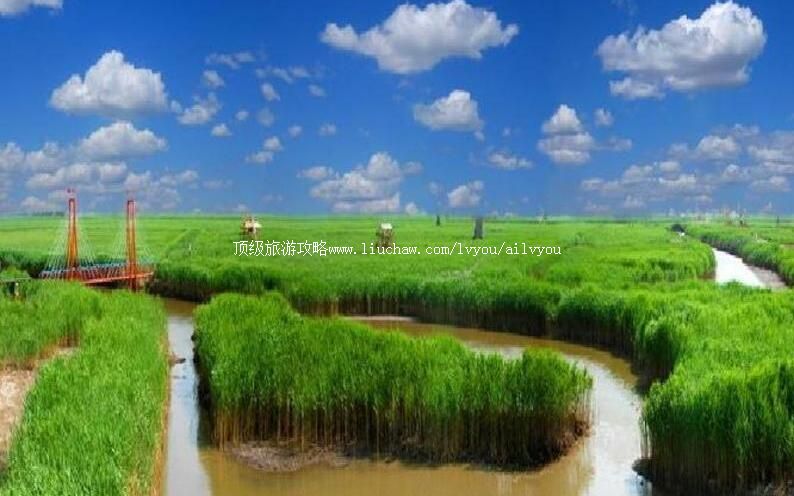 4A盘锦苇海鼎翔生态旅游区旅游攻略
