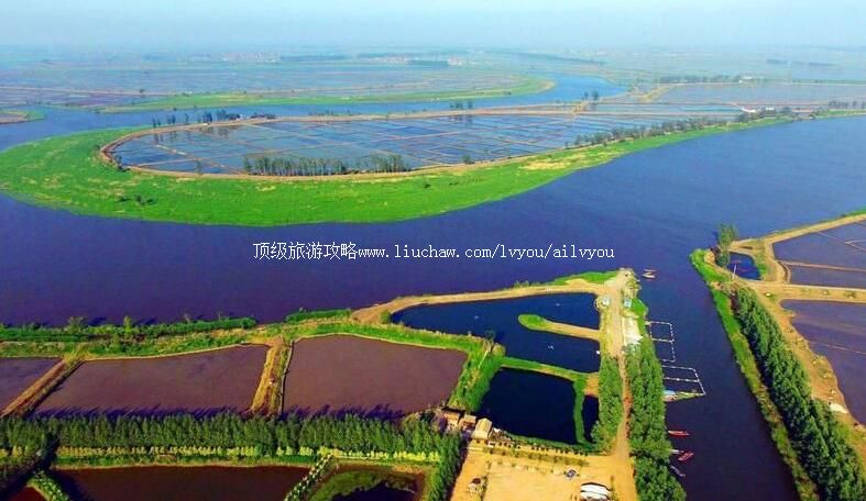 3A大洼辽河绿水湾旅游攻略