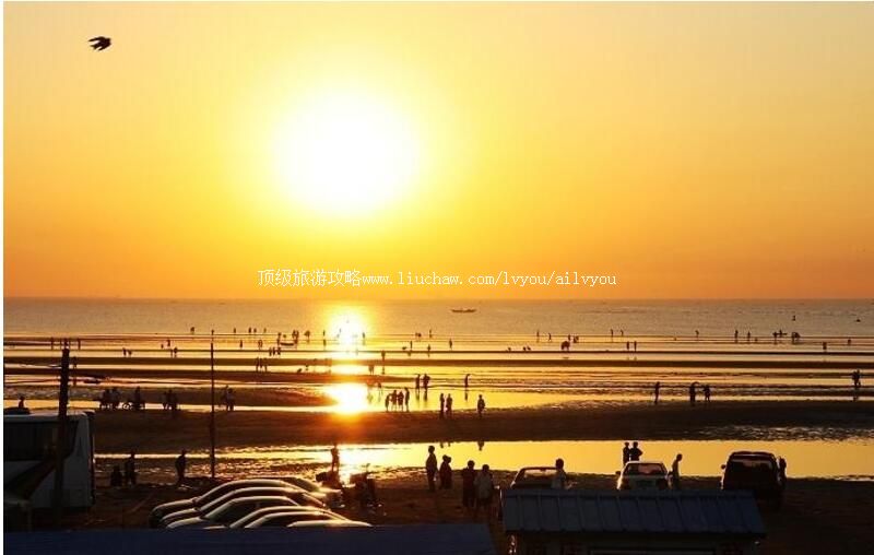 ��������ֹê�����ι���