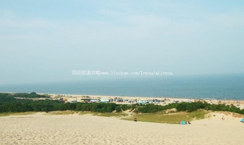 �������������������ι���