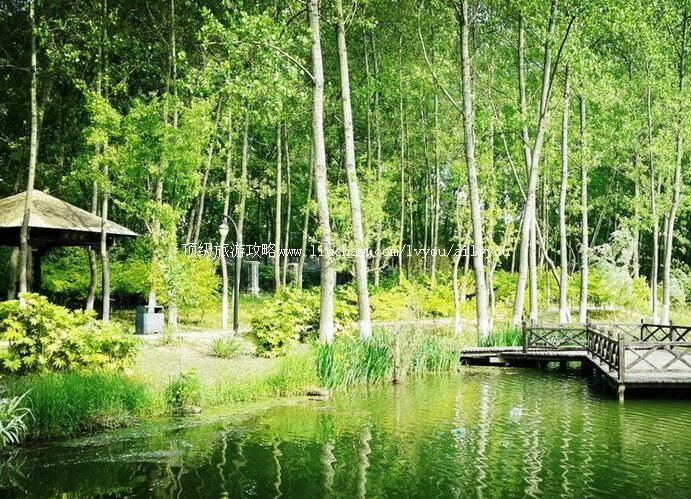 4A���ջ����Ż����Ļ���̬�������ι���