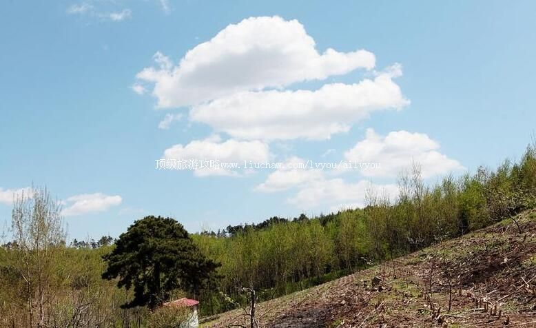 4A˳�Ƿ���ǧĶ��԰���ι���