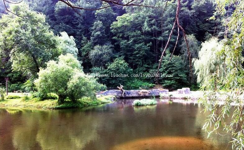 4A�����±���������ɭ�ֹ�԰���ι���