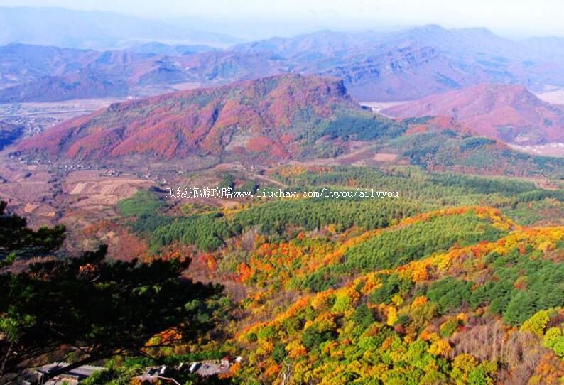 4A���Ź�ɭ�ֹ�԰���ι���