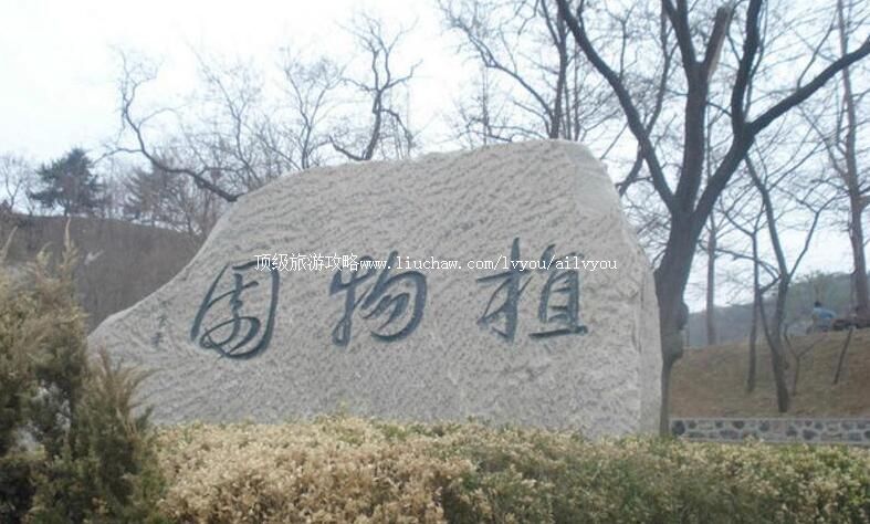 ����ֲ��԰���ι���