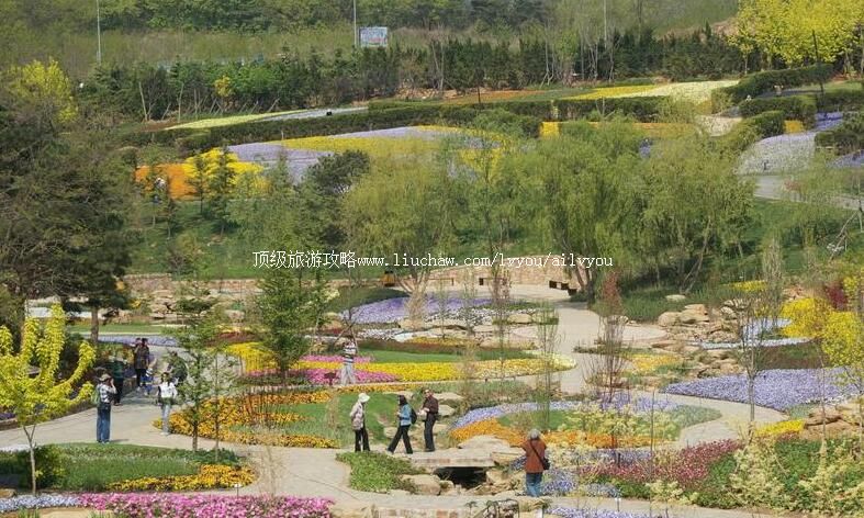 ����Ӣ��ʯֲ��԰���ι���