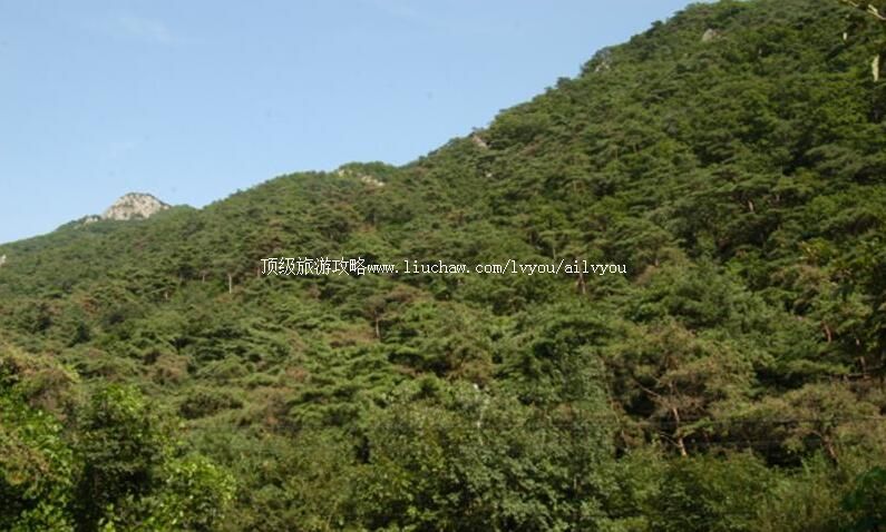 �������˶����Ҽ���Ȼ���������ι���